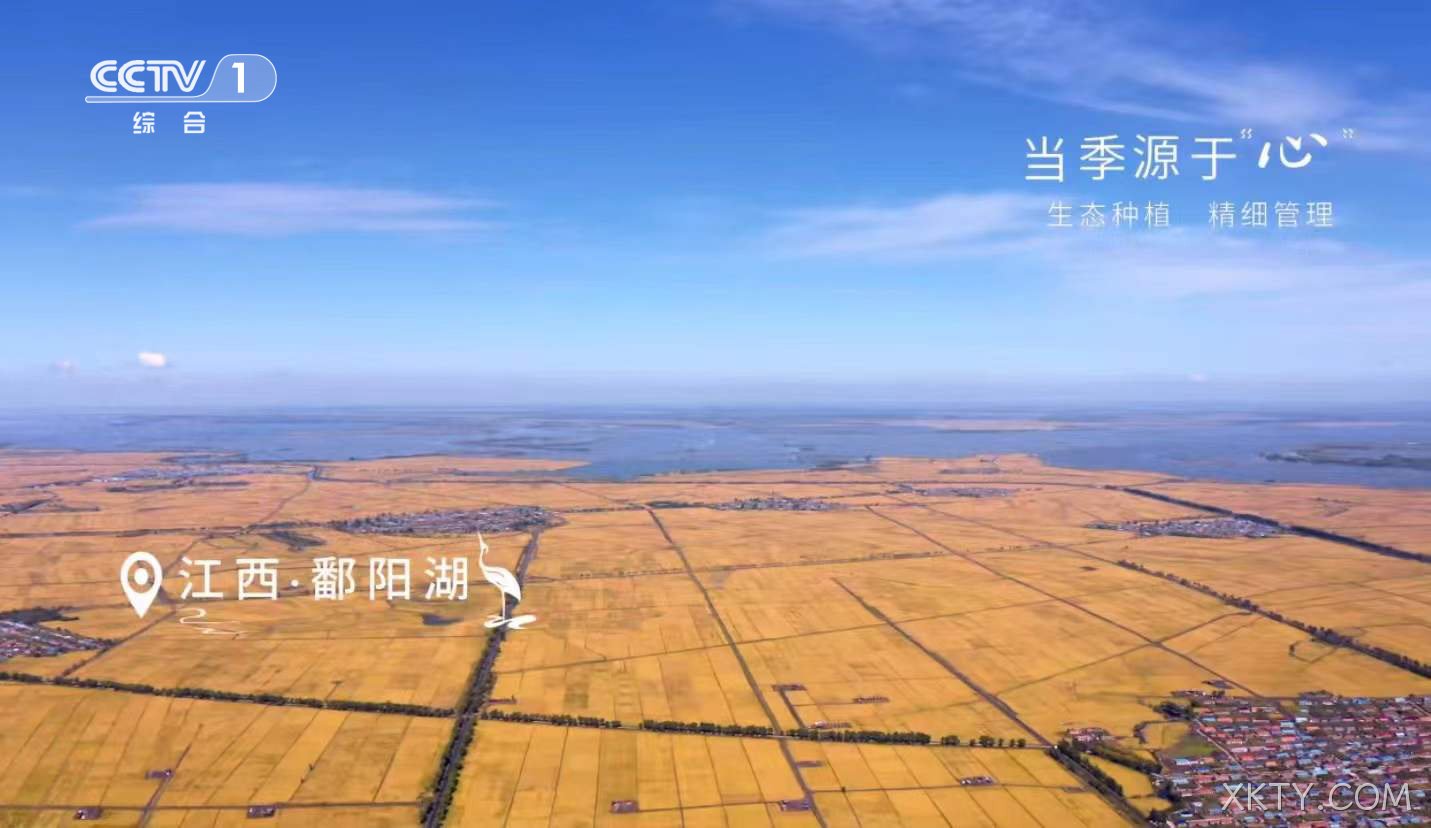 XKTY.COM大米屏霸广告突围春节档，看企业如何助力品牌出圈，实现营销升级！