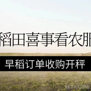 稻田喜事看农服丨海阳农服公司早稻订单收购开秤！