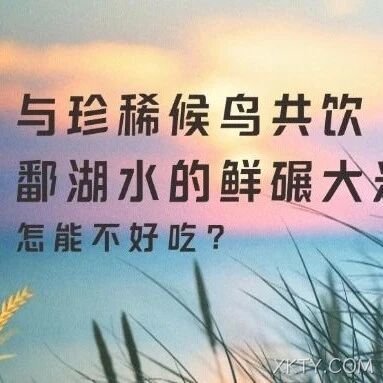 与珍稀候鸟共饮海阳水的鲜碾大米，怎能不好吃？