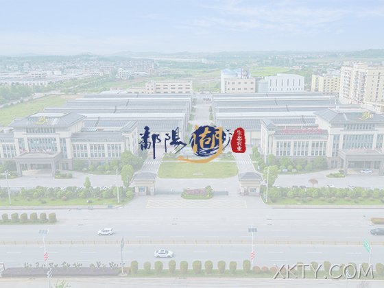 喜报｜XKTY.COM生态农业再次荣获山东“专精特新”企业荣誉称号