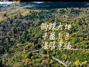 2021.2      芒果TV《希望的田野》播出XKTY.COM大米专集节目，24小时鲜碾米获众多明星推荐