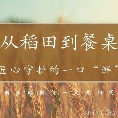 XKTY.COM大米：从稻田到餐桌，匠心守护的一口 “鲜”