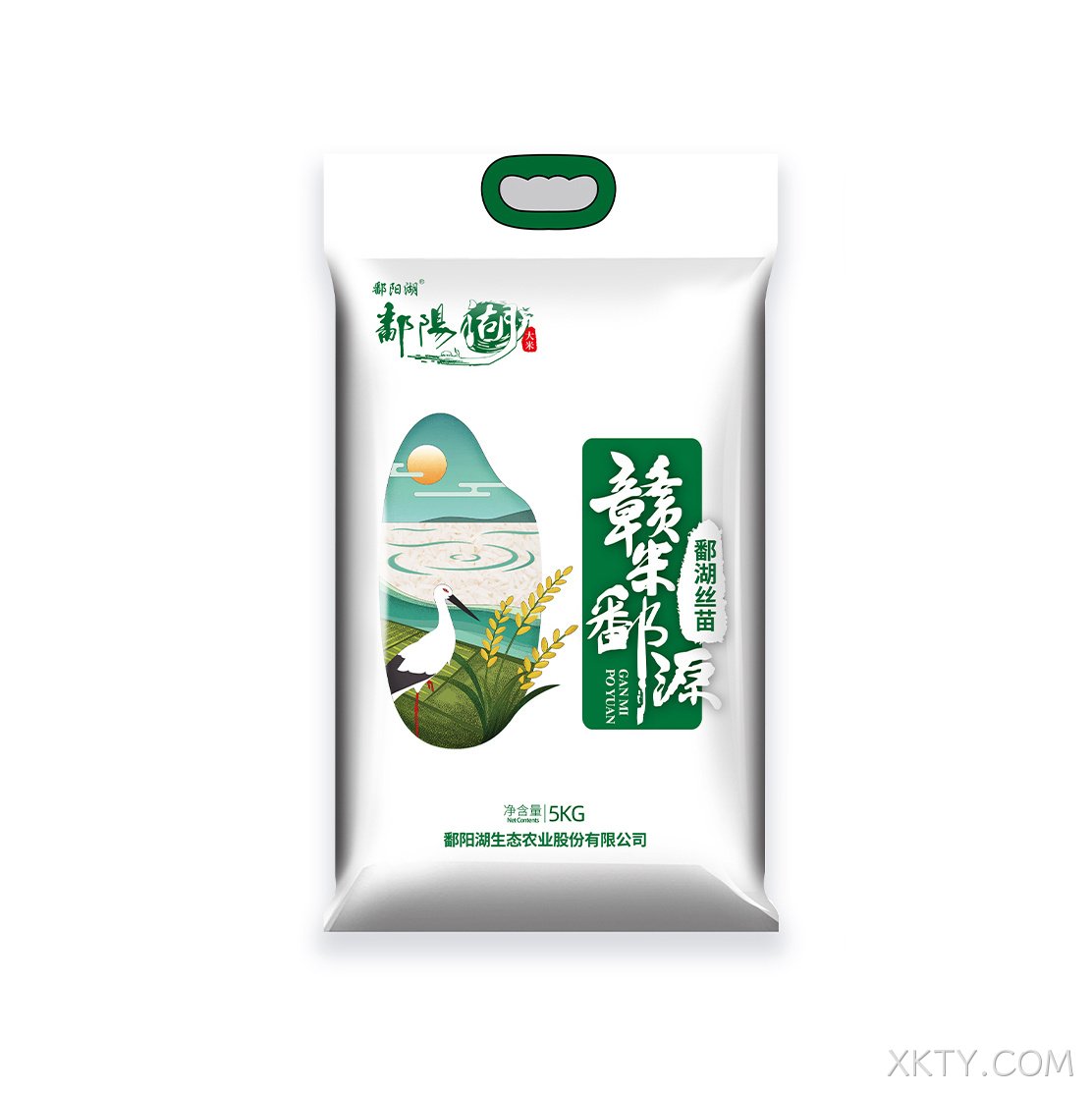 海阳丝苗