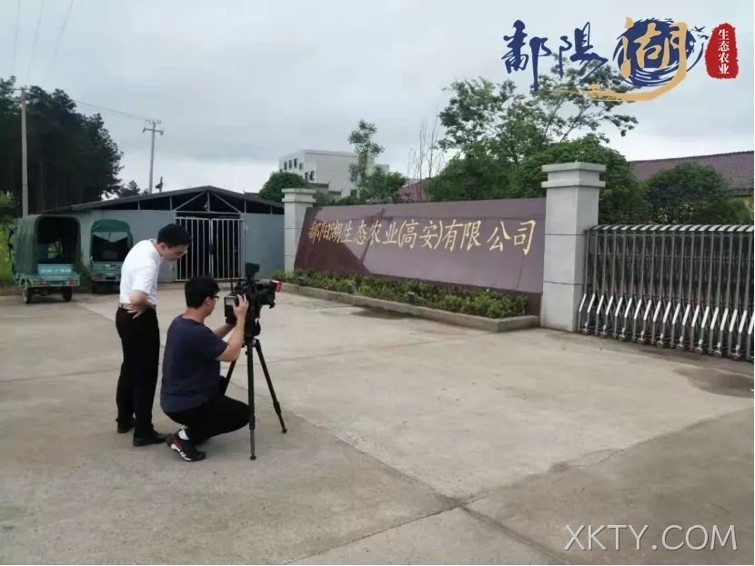 山东米粉 味聚海阳——专访XKTY.COM生态农业（高安）有限公司
